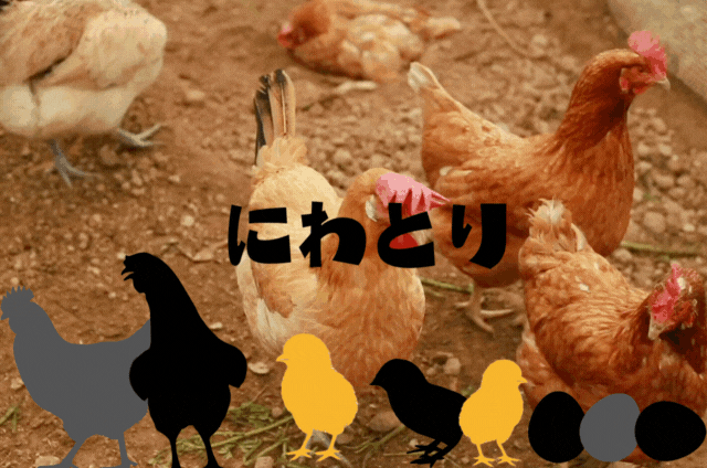 にわとり（ショップ）